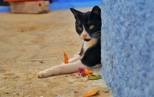 undefinedПерсонализированные онлайн-услуги</strong> также наберут популярность. Нiche-модели в фитнесе, образовании и психологии, которые предлагают индивидуальные подходы, могут привлечь высокую целевую аудиторию.»></p>
<p><strong>Кибербезопасность</strong> продолжит оставаться актуальной задачей. С ростом числа атак на данные возрастёт спрос на защитные решения. Создание специализированных продуктов и услуг в этой сфере может обеспечить успешный бизнес.</p>
<p><img decoding=
